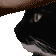 Autpek